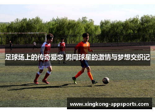 足球场上的传奇爱恋 男同球星的激情与梦想交织记